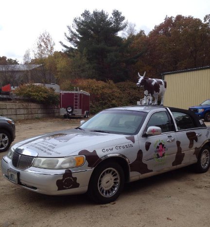 Cow car ready to go