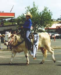 cow on parade